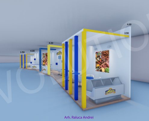 aldis proiect 3d 2 495x400 ALDIS   Proiect 3D