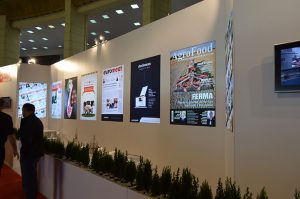 ford siab 31 300x199 