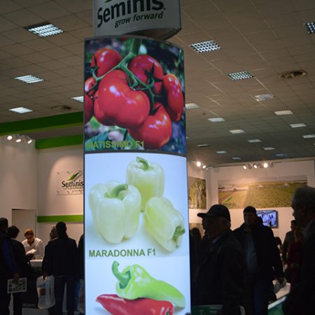 seminis 2016 7 450x450 SEMINIS   2016