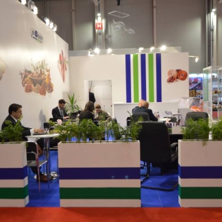 PIONEER GRUP CARNEXPO 2019 5 450x450 PIONEER GRUP 2019