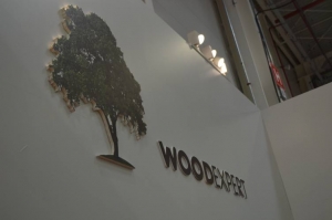 WOOD EXPERT BIFE SIM 2019 10 300x199 WOOD EXPERT   BIFE SIM 2019   10